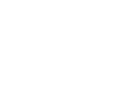 logo Cogitis blanc 250px